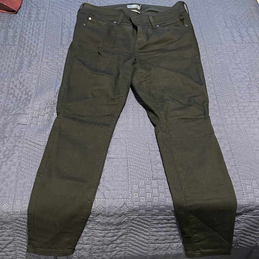 Torrid Jeggings